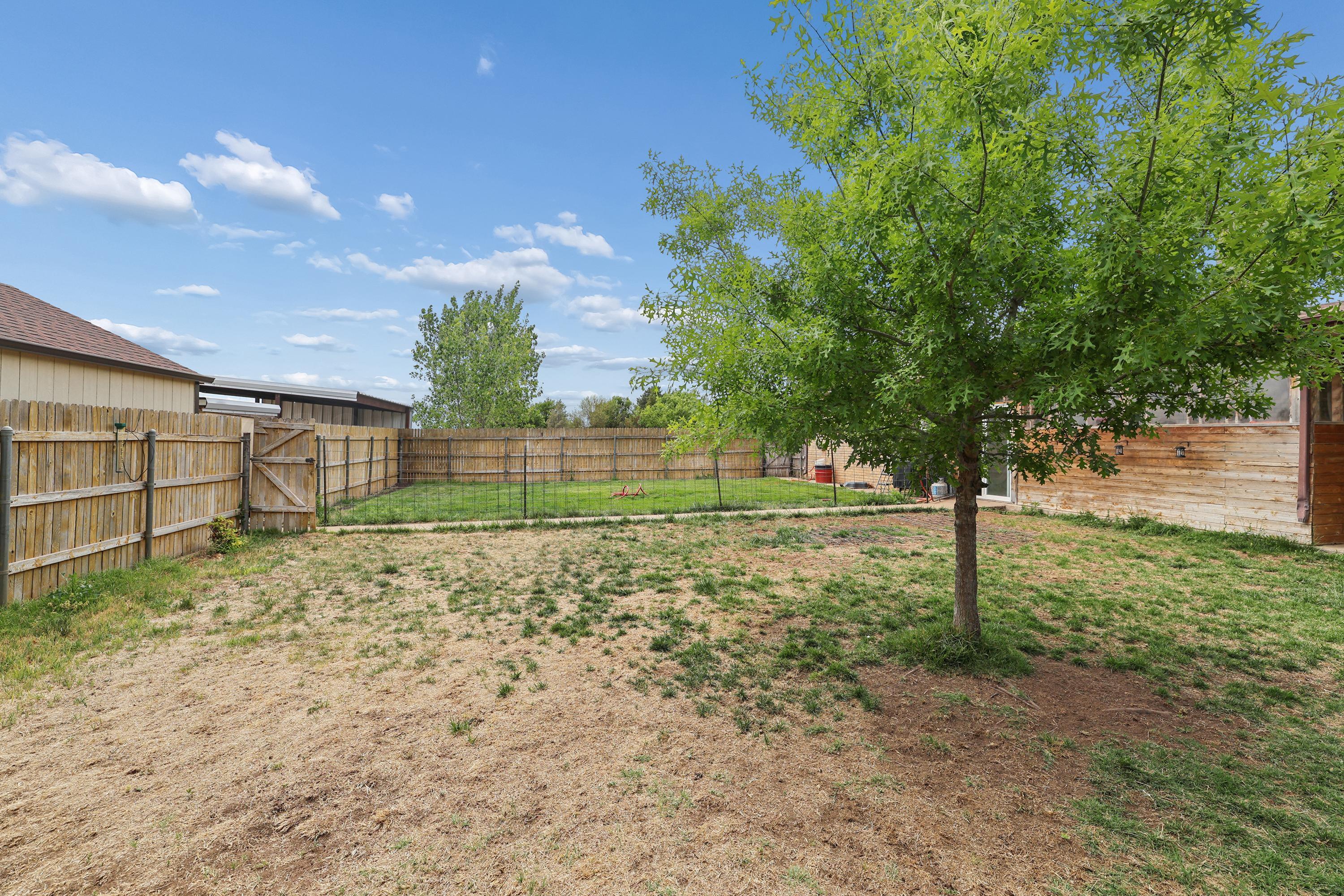 14653 Halsey Trail Amarillo, TX 79118 - Photo 54 of 67 35-Backyard