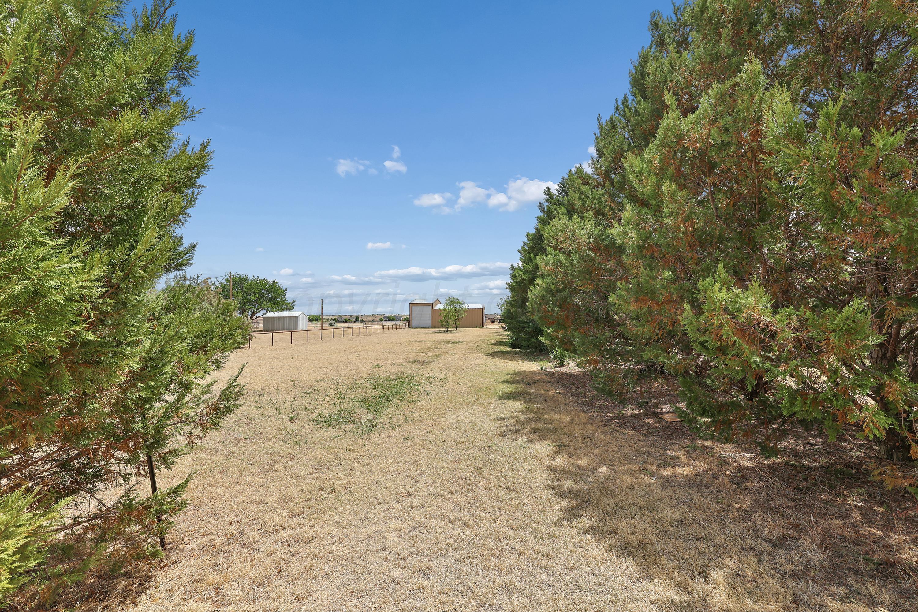 14653 Halsey Trail Amarillo, TX 79118 - Photo 61 of 67 61-Land on North Side