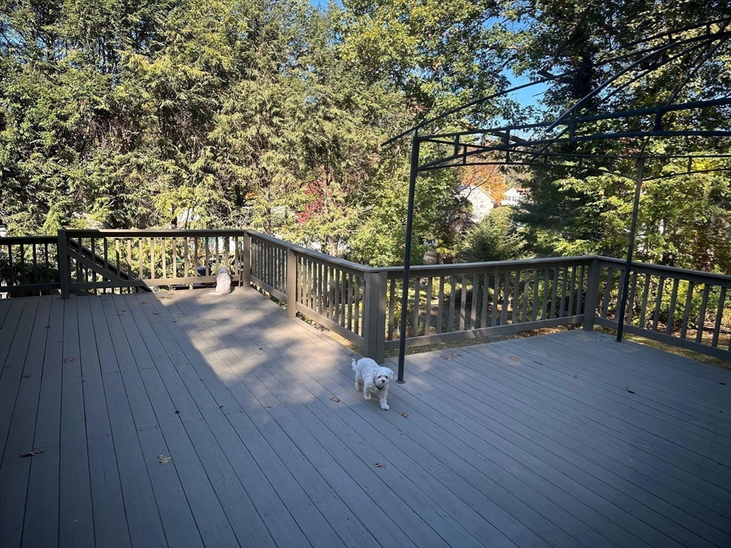 223 Robert Road Dedham, MA 02026 - Photo 15 of 18 a balcony with wooden floor and trees