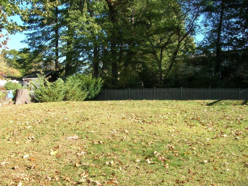 223 Robert Road Dedham, MA 02026 - Photo 17 of 18 a view of a yard with large trees