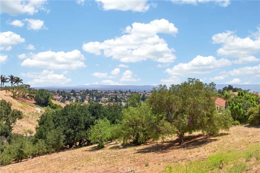 12056 Stone Gate Way Porter Ranch, CA 91326 - Photo 35 of 70
