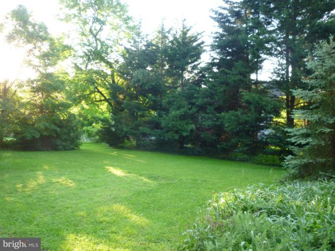 1906 Grace Church Road Silver Spring, MD 20910 - Photo 3 of 3 a view of a green yard