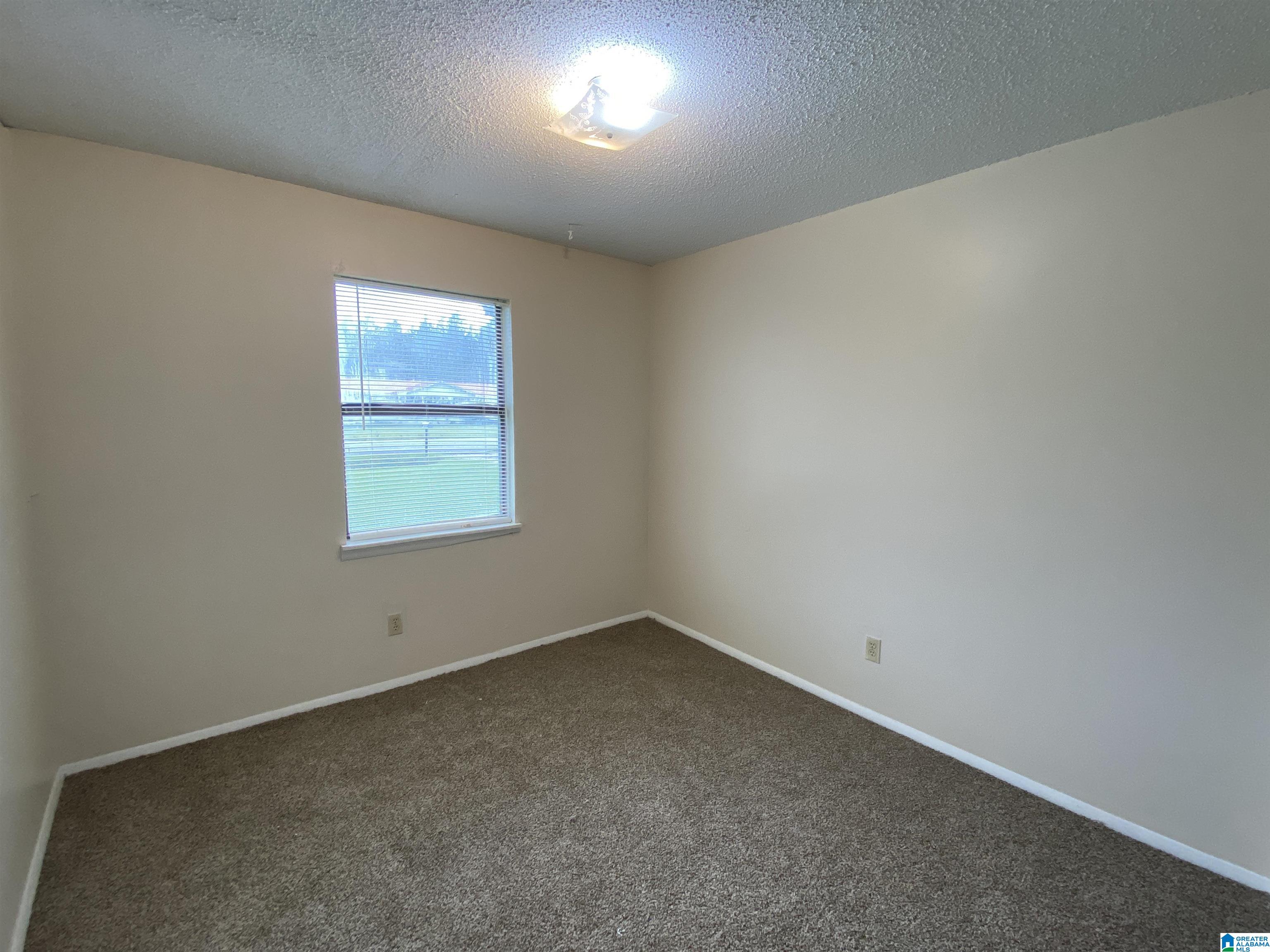 3494 Tomcat Road Piedmont, AL 36272 - Photo 16 of 18