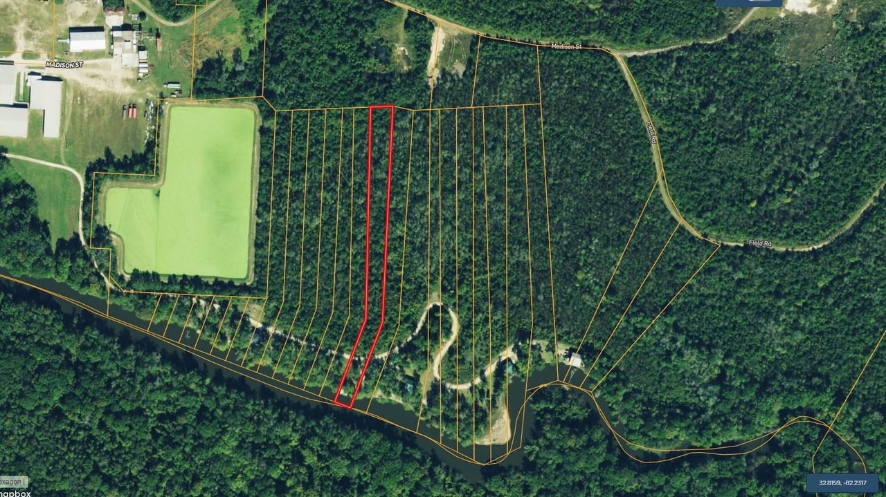 a view of a yard with plants