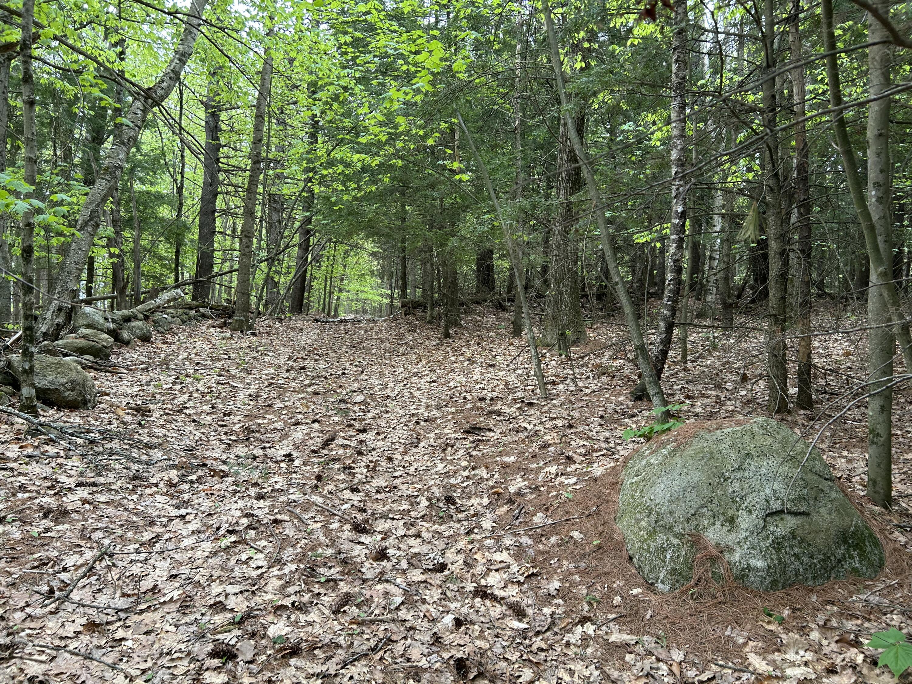 281 Randall Road Lewiston, ME 04240 - Photo 13 of 31
