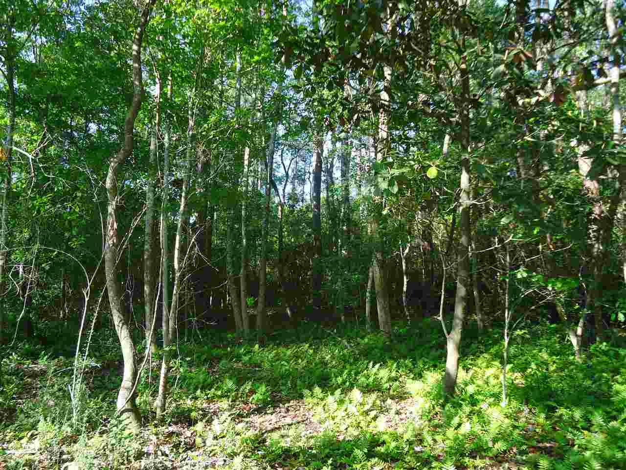 0 Hammock Road Elberta, AL 36530 - Photo 4 of 15