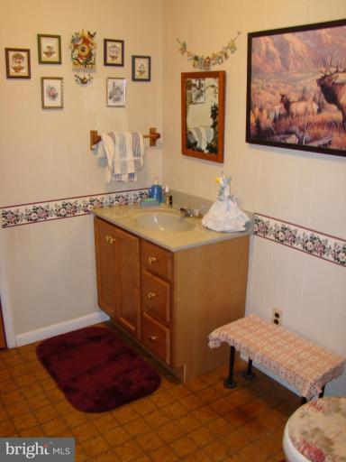 25471 Goldsboro Road Henderson, MD 21640 - Photo 14 of 21 Half Bath 1