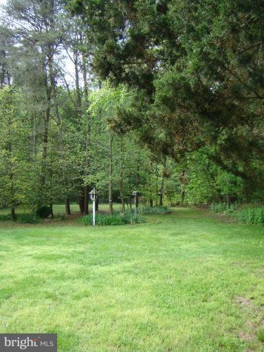 25471 Goldsboro Road Henderson, MD 21640 - Photo 4 of 21 Wooded View / Acreage