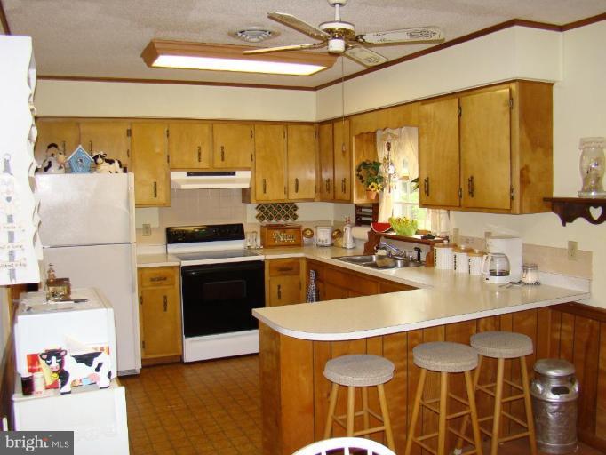 25471 Goldsboro Road Henderson, MD 21640 - Photo 7 of 21 Kitchen