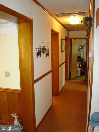 25471 Goldsboro Road Henderson, MD 21640 - Photo 10 of 21 Hallway