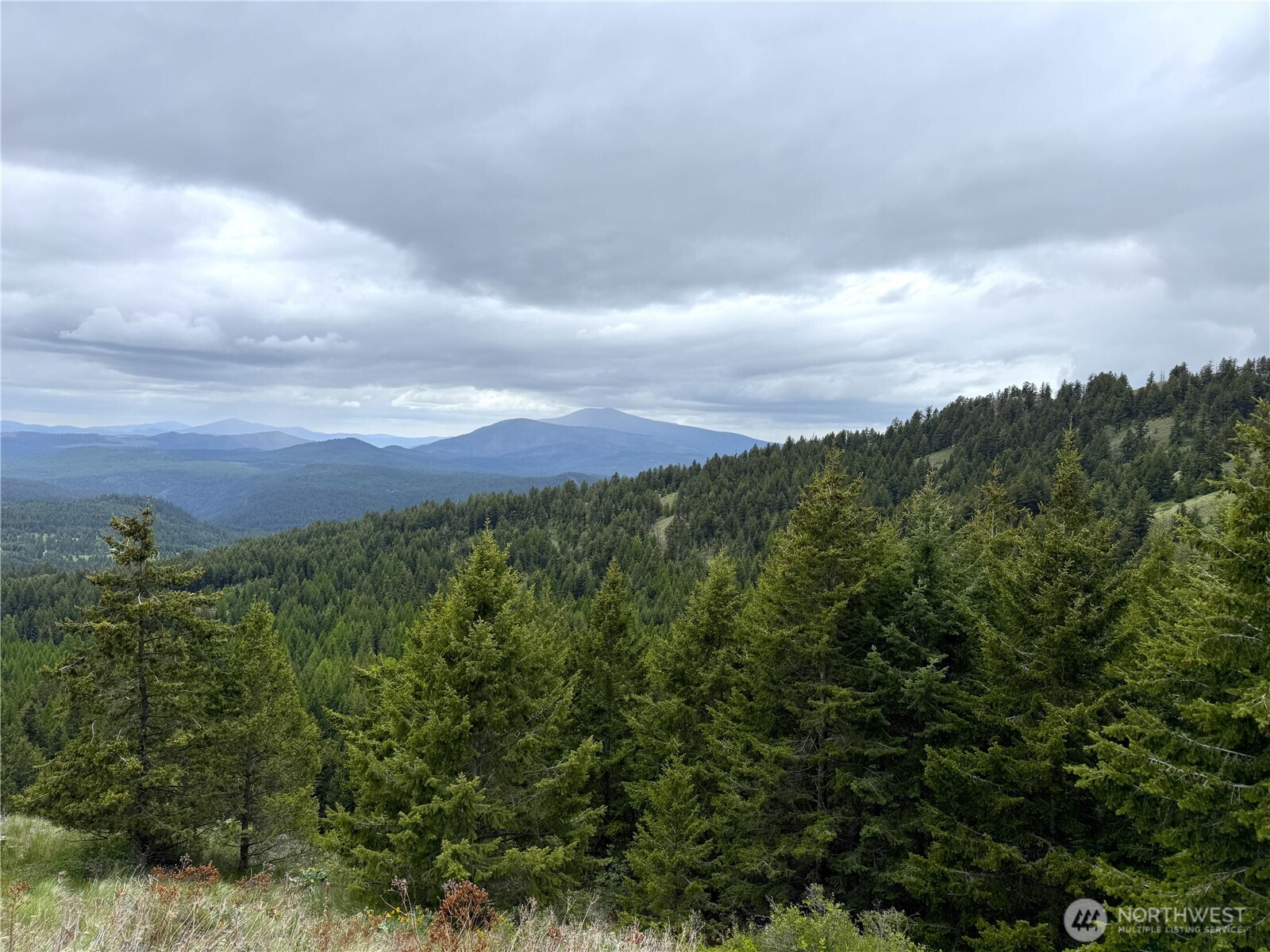 0 Pontiac Ridge Road Oroville, WA 98844 - Photo 15 of 21
