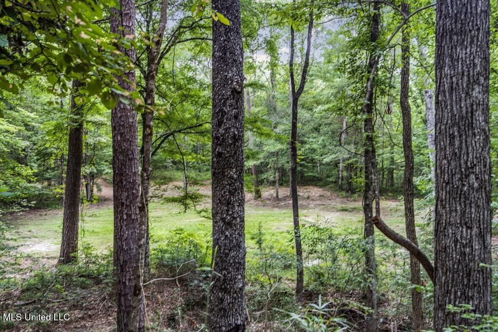 1 Cole Road Crosby, MS 39633 - Photo 12 of 35 141613_10