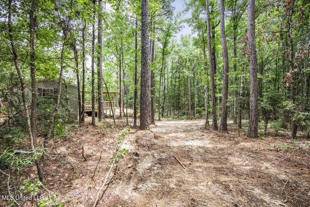 1 Cole Road Crosby, MS 39633 - Photo 17 of 35 141613_17