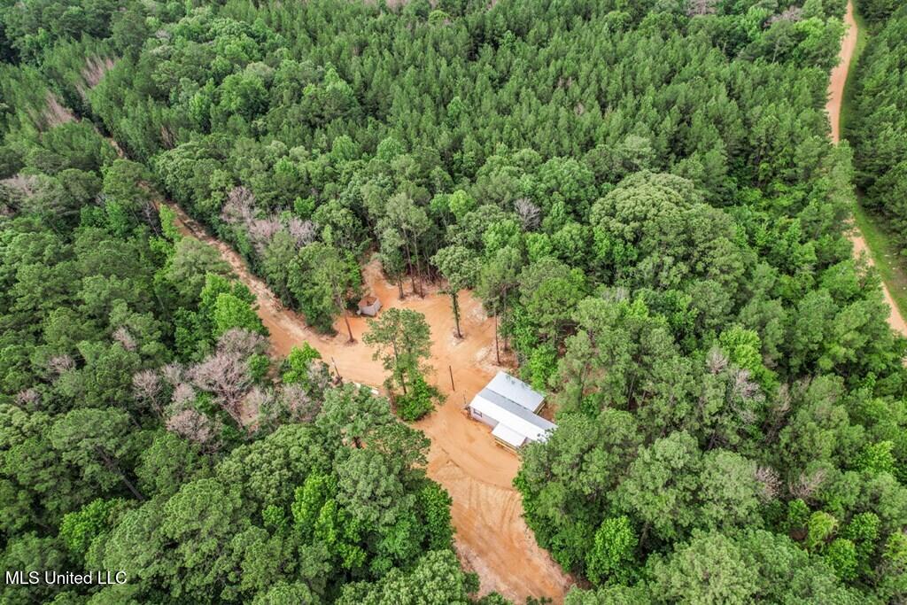 1 Cole Road Crosby, MS 39633 - Photo 18 of 35 141613_19