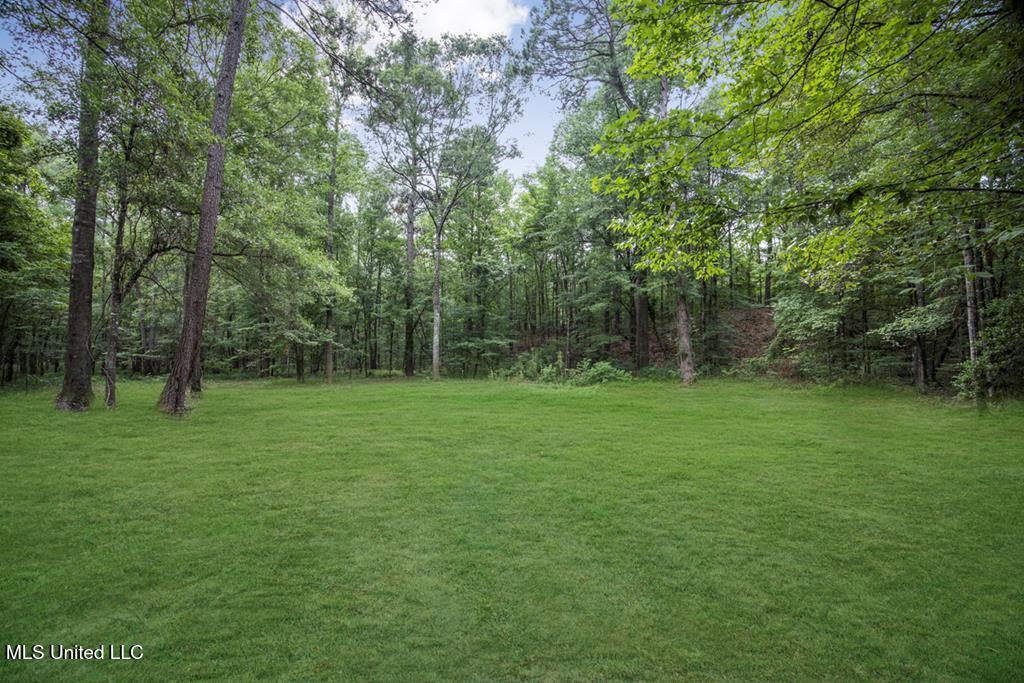 1 Cole Road Crosby, MS 39633 - Photo 33 of 35 141613_38