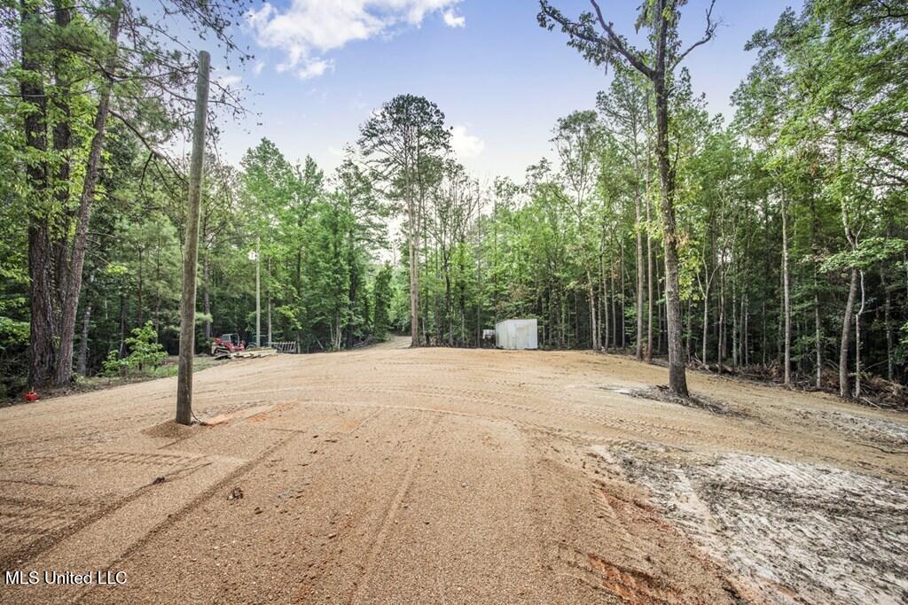 1 Cole Road Crosby, MS 39633 - Photo 10 of 35 141613_8