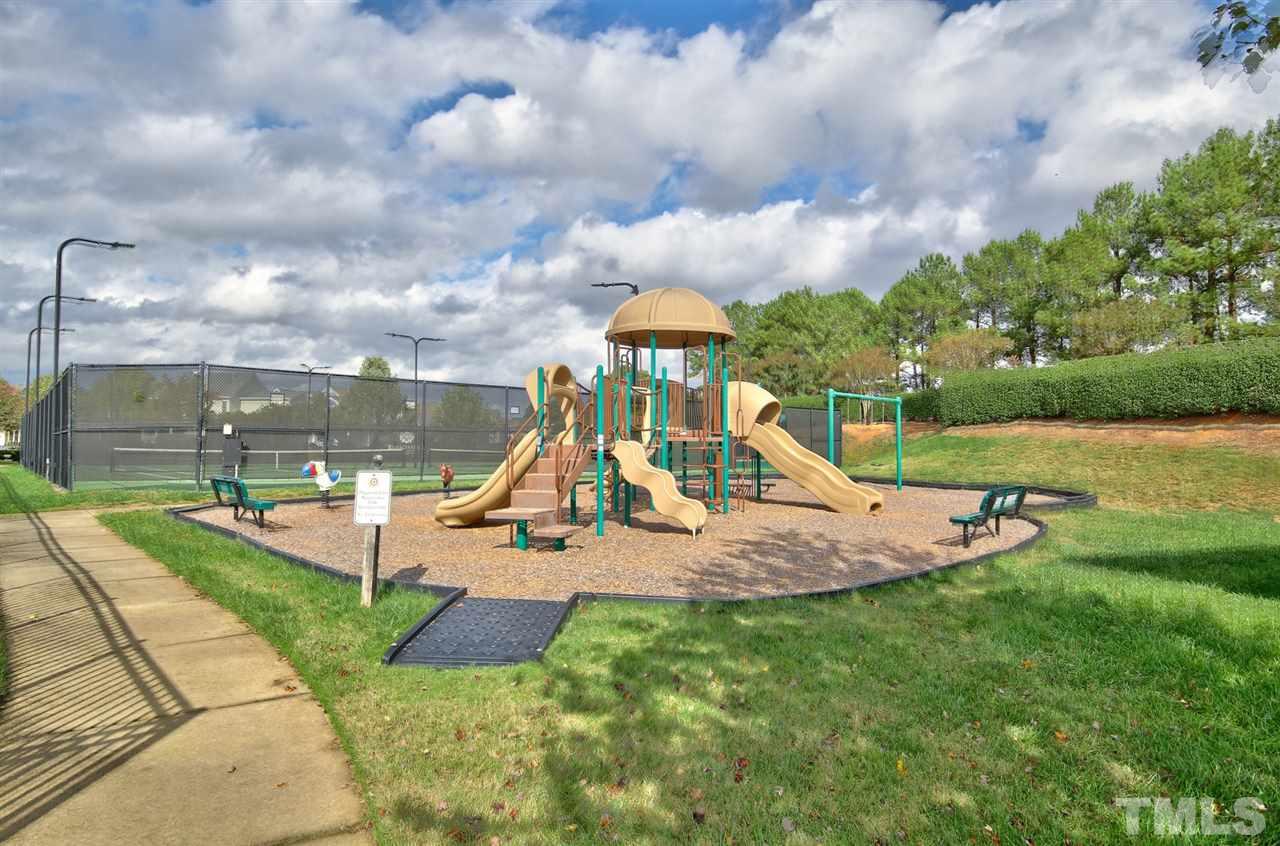 927 Ileagnes Road Raleigh, NC 27603 - Photo 23 of 26 a view of a garden with a slide