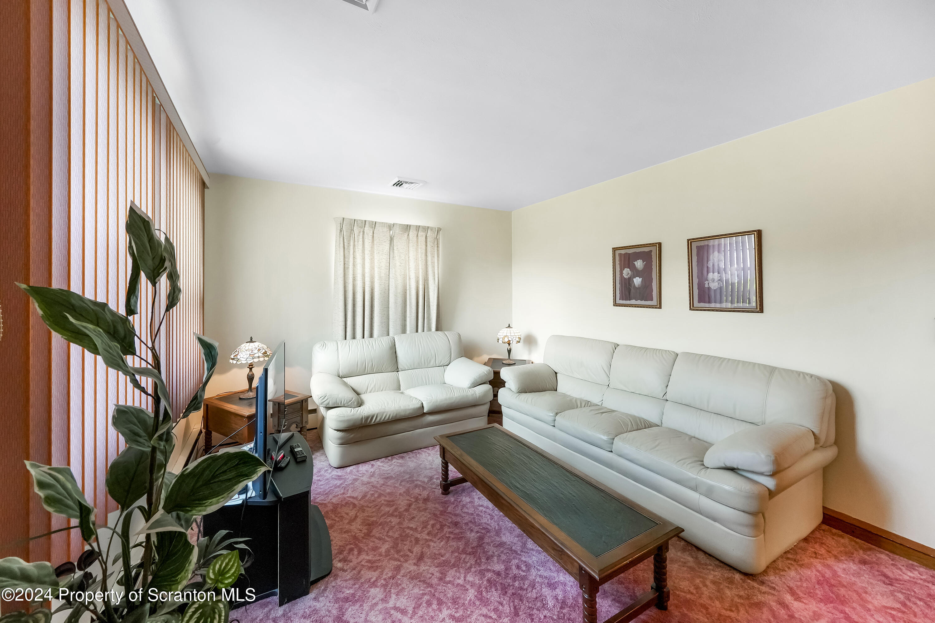 254 Hoover Street Old Forge, PA 18518 - Photo 14 of 27 a living room with furniture a flat screen tv and a potted plant