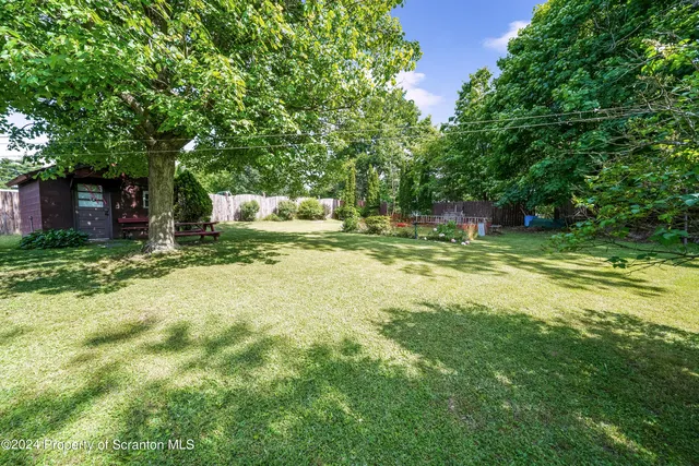 a view of a trees in a yard
