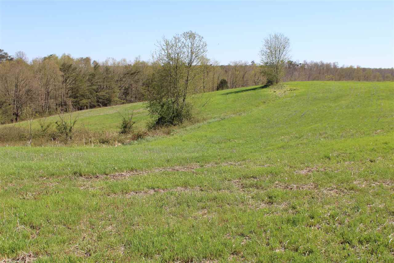 83 Long Fall Road Cub Run, KY 42729 - Photo 17 of 32 Gallery Image 17