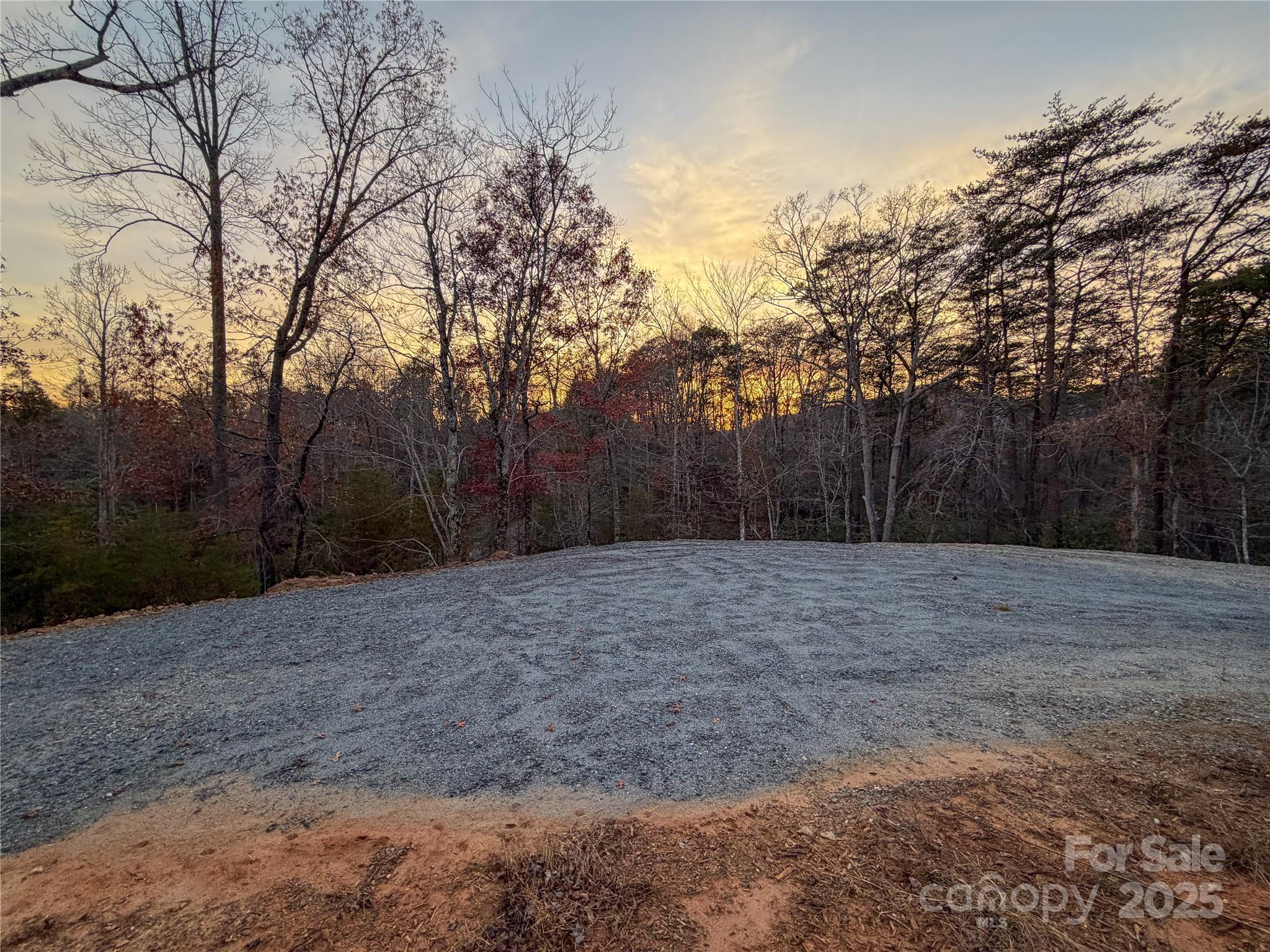 864 Matho Trace Lake Lure, NC 28746 - Photo 43 of 47 a view of backyard with large trees