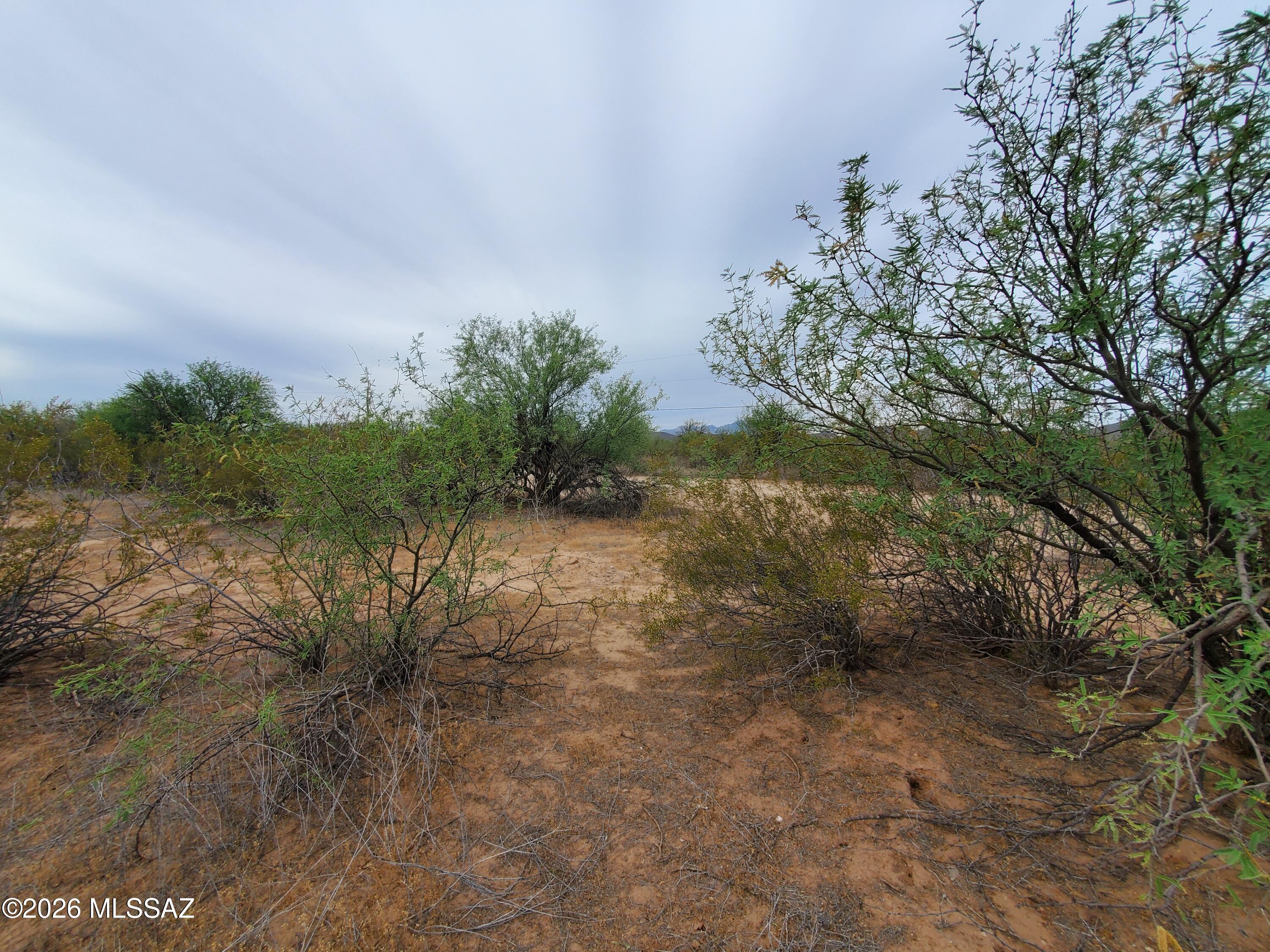 7925 South Worden Road Tucson, AZ 85735 - Photo 11 of 20 a view of a yard with plants and a bench