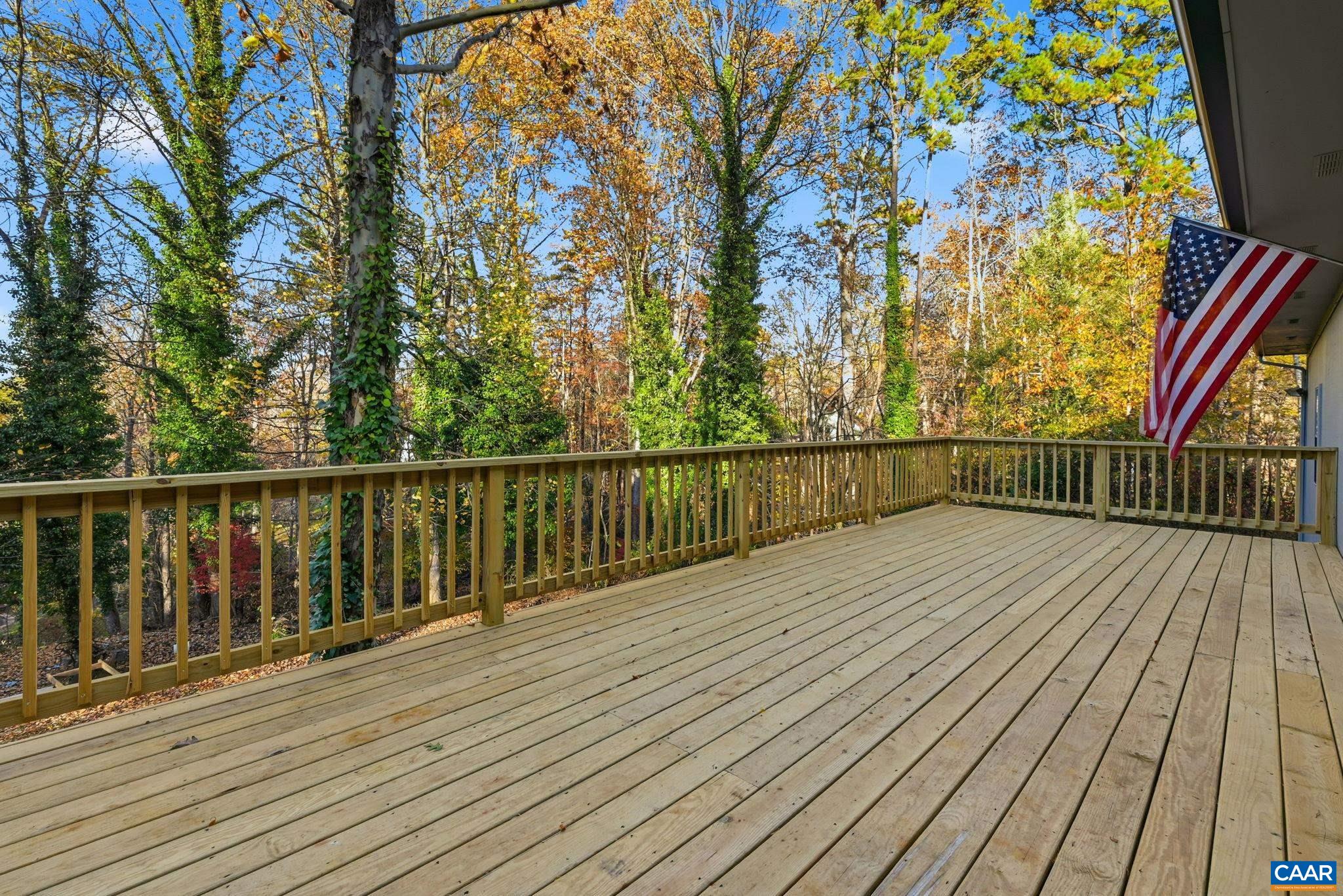 247 Goldenrod Road Ruckersville, VA 22968 - Photo 14 of 63