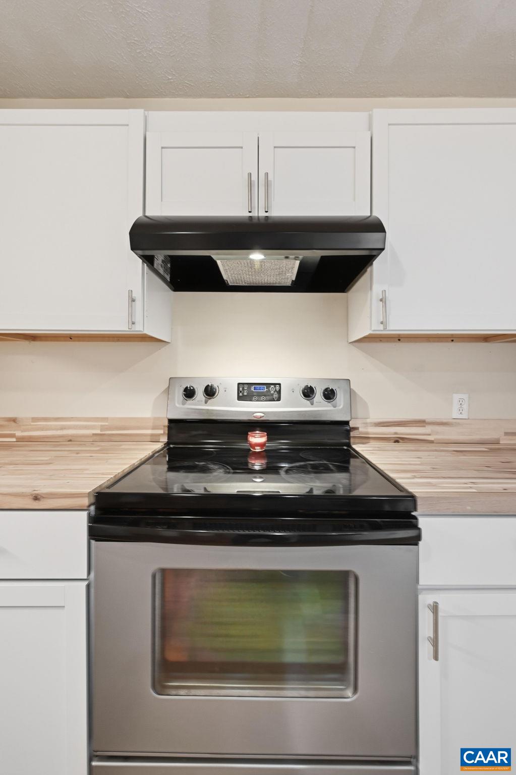 247 Goldenrod Road Ruckersville, VA 22968 - Photo 25 of 63