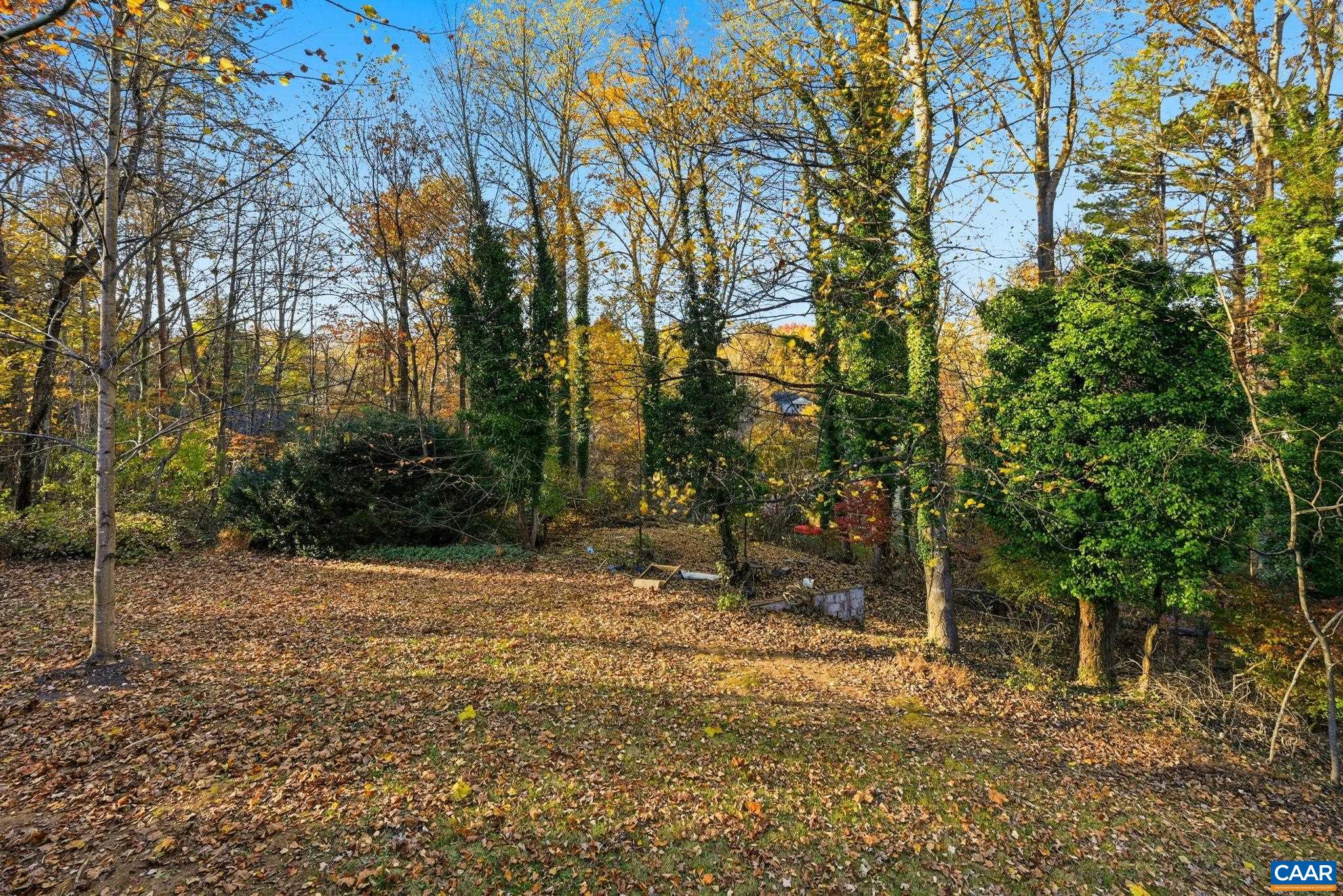 247 Goldenrod Road Ruckersville, VA 22968 - Photo 4 of 63