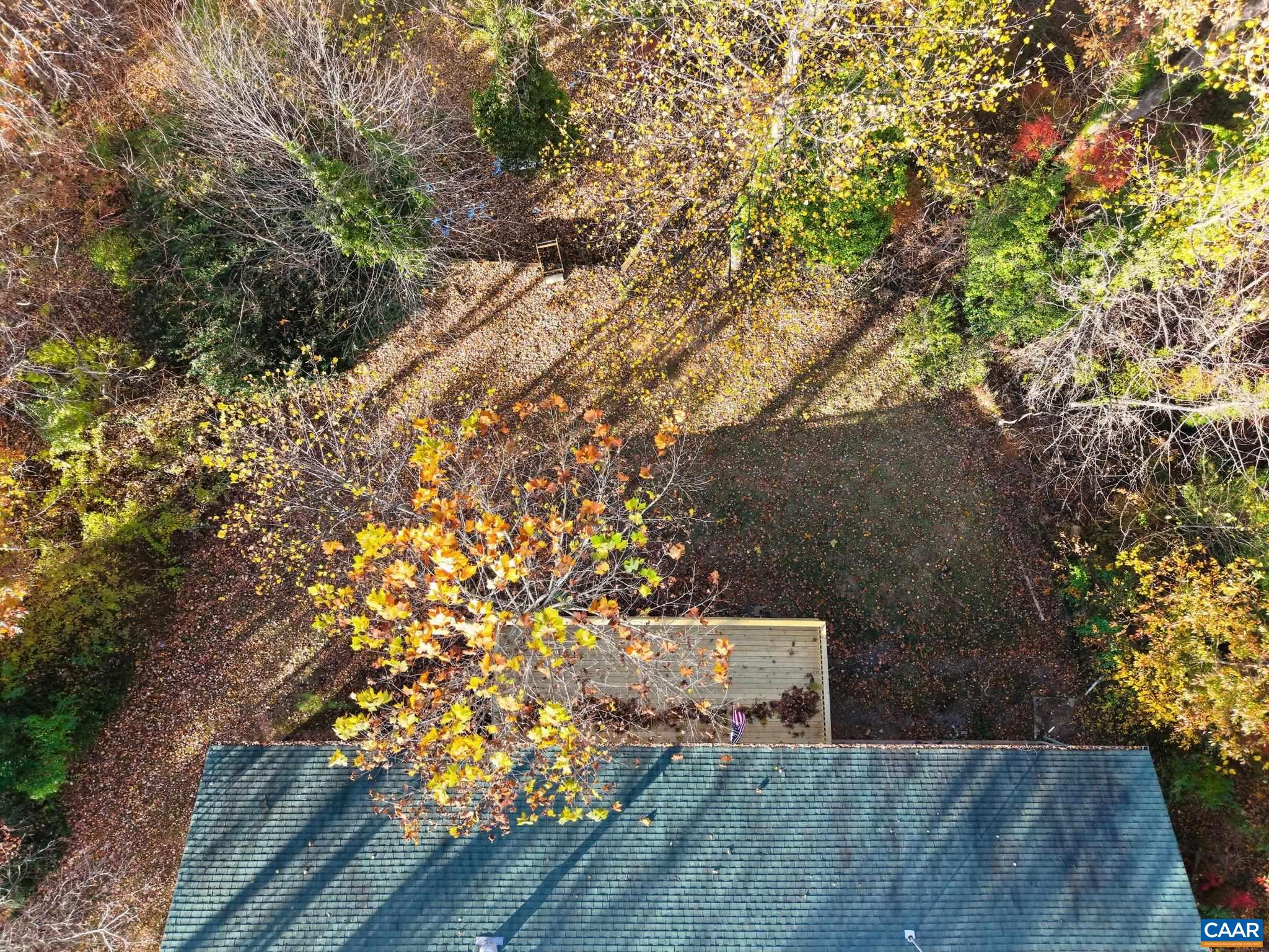 247 Goldenrod Road Ruckersville, VA 22968 - Photo 50 of 63