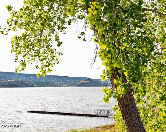 a view of a yard with plants