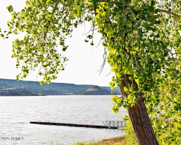 a view of a yard with plants