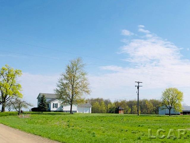 9491 Elm Road Hudson, MI 49247 - Photo 6 of 30 SIDE YARD