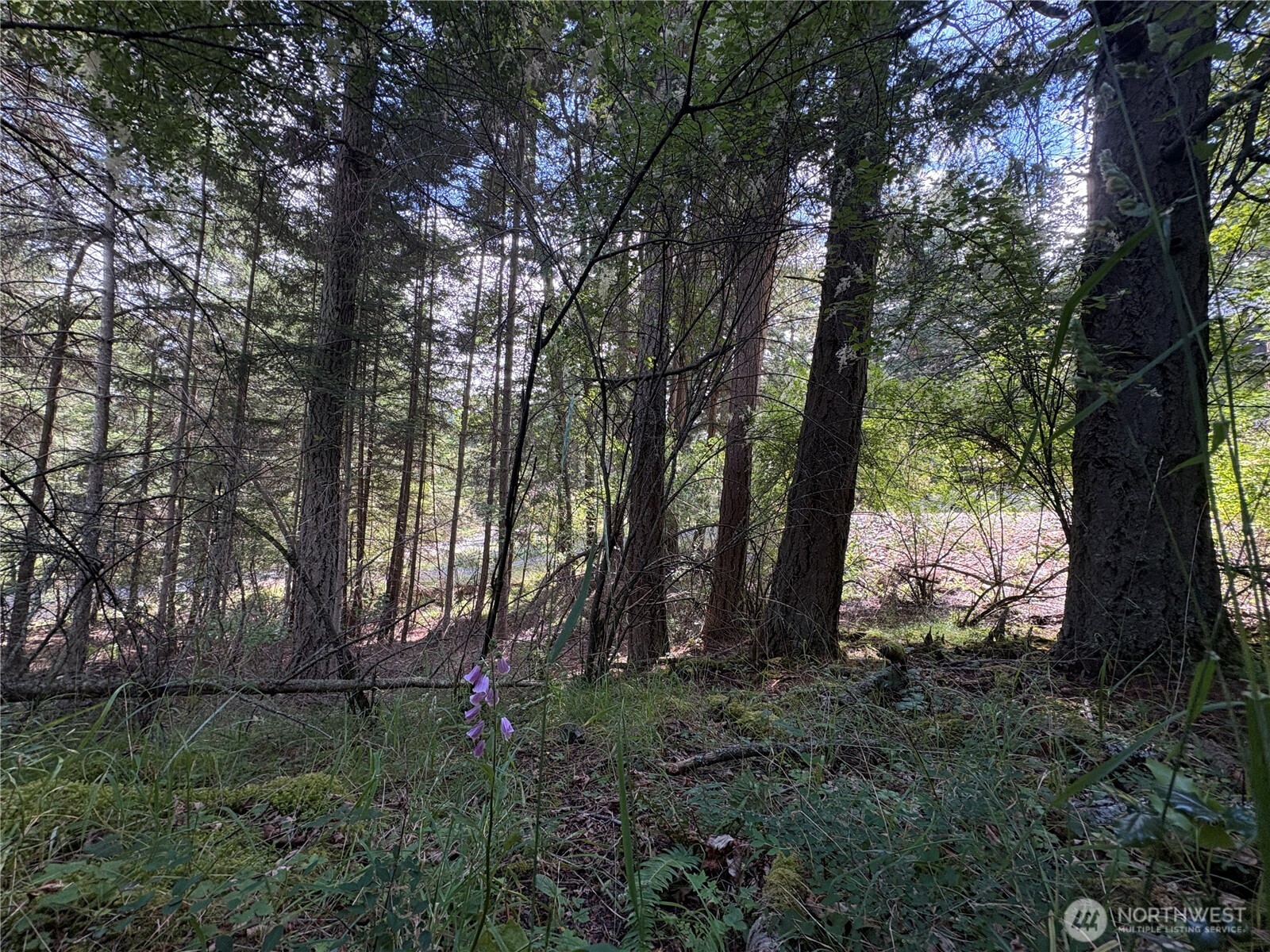 14 Rosario Road Orcas Island, WA 98245 - Photo 32 of 39