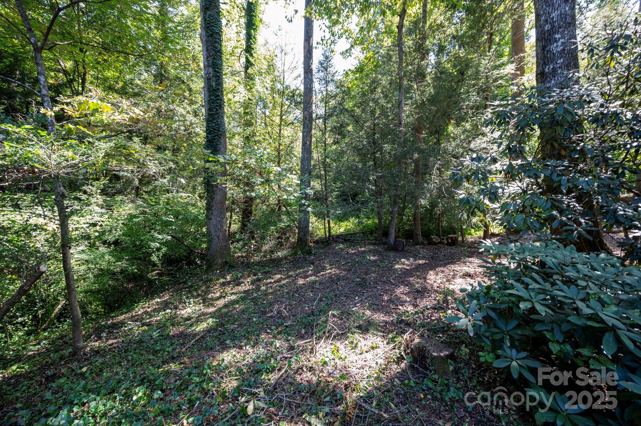 109 Rusty Lane Hendersonville, NC 28791 - Photo 28 of 34 a view of a forest with trees in the background