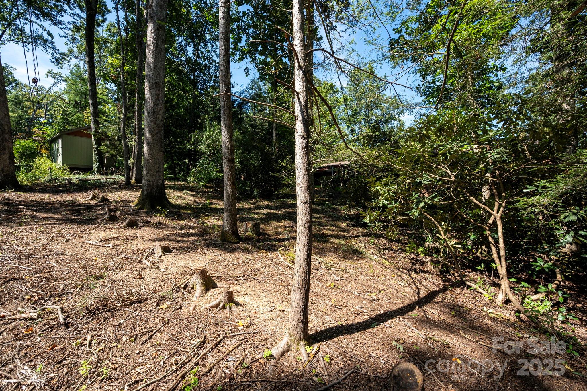 109 Rusty Lane Hendersonville, NC 28791 - Photo 29 of 34 a view of a backyard of the house