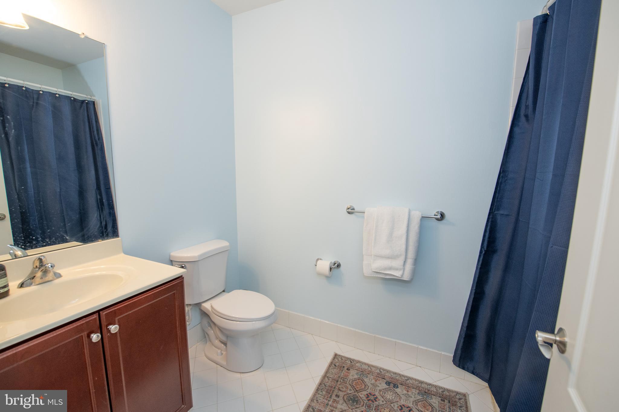 460 Carson Terrace Huntingdon Valley, PA 19006 - Photo 24 of 36 Hall Bathroom