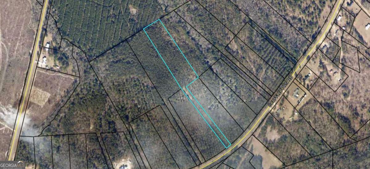 0 Scuffletown Road Garfield, GA 30425 - Photo 2 of 4