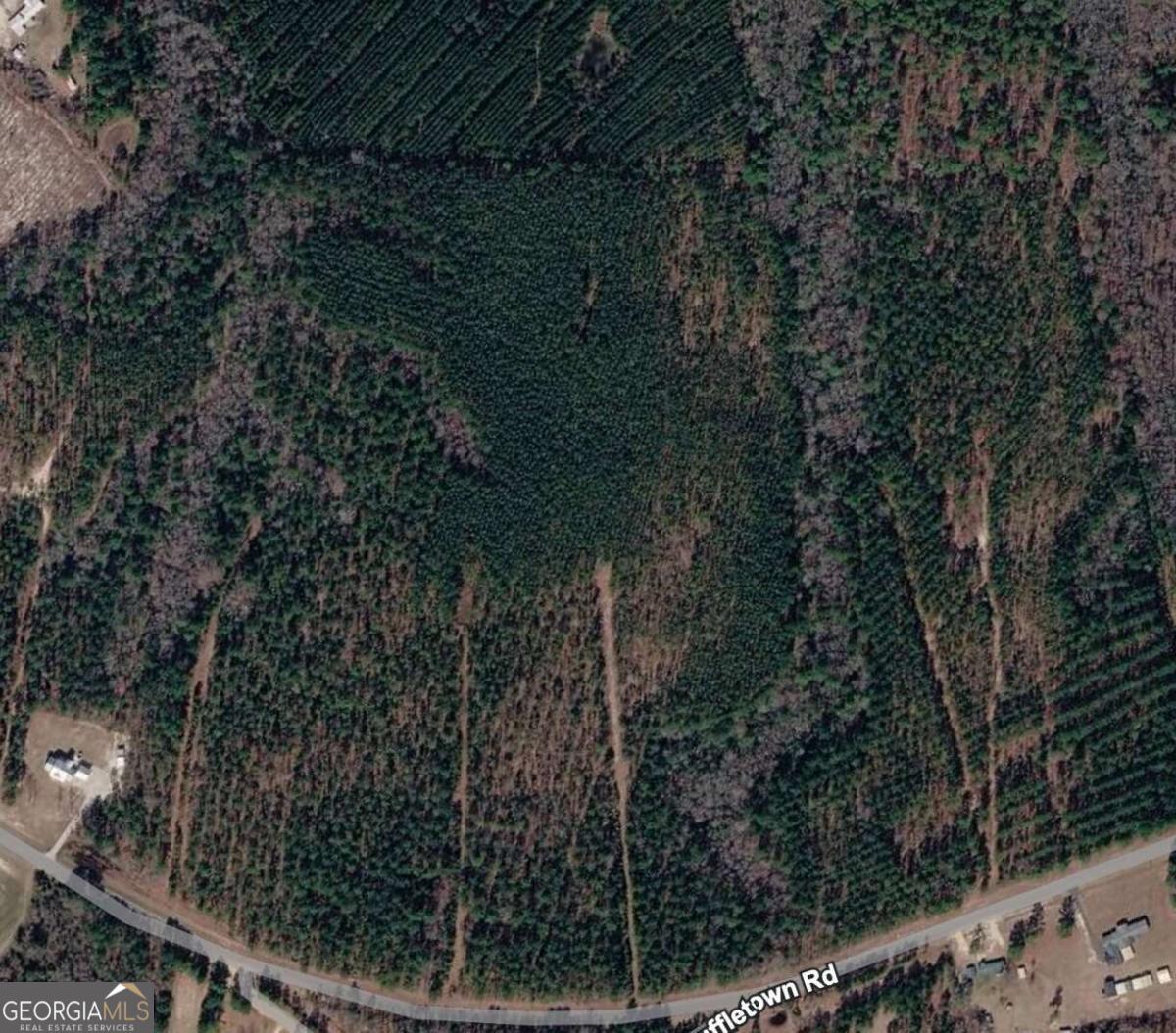 0 Scuffletown Road Garfield, GA 30425 - Photo 3 of 4