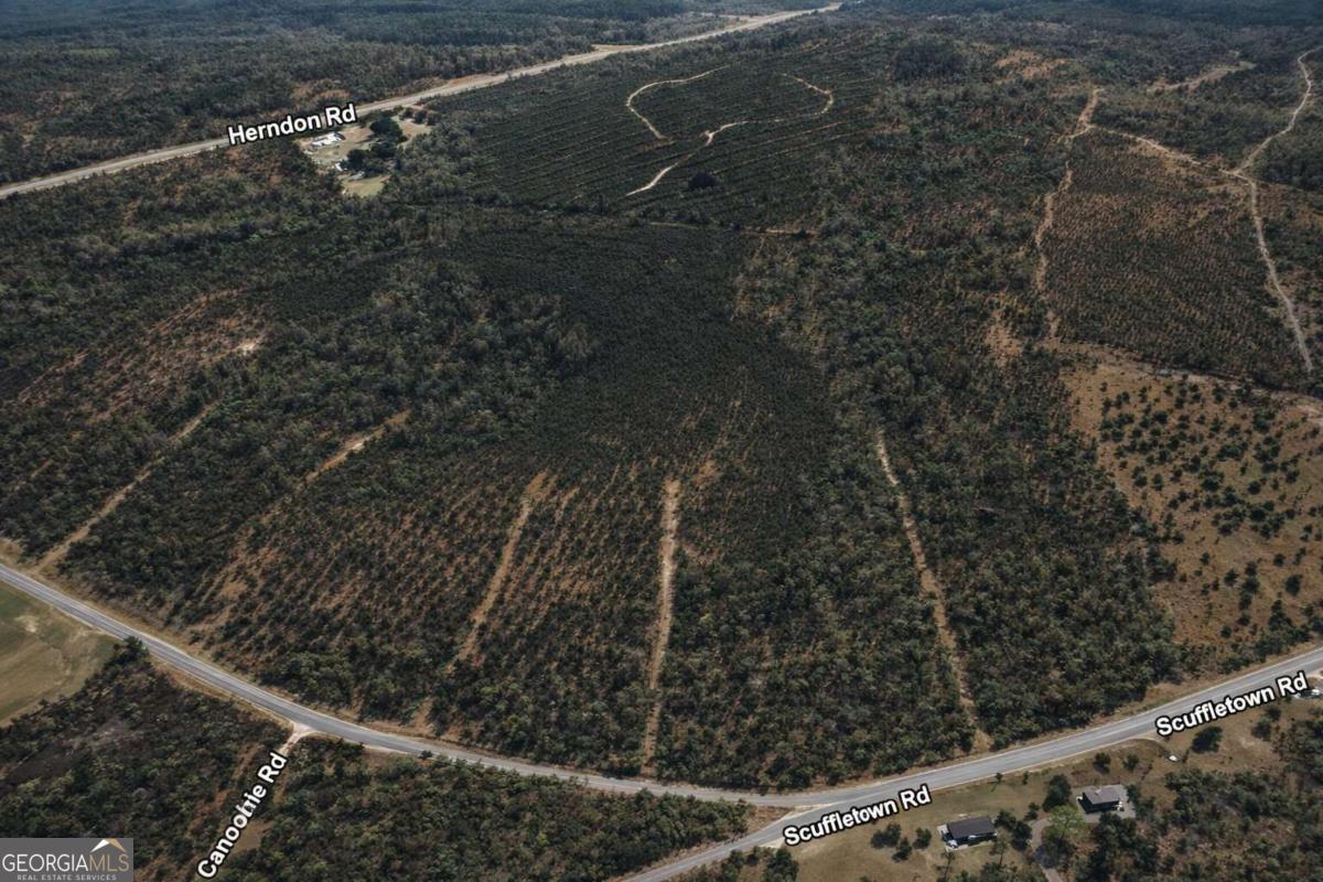 0 Scuffletown Road Garfield, GA 30425 - Photo 4 of 4