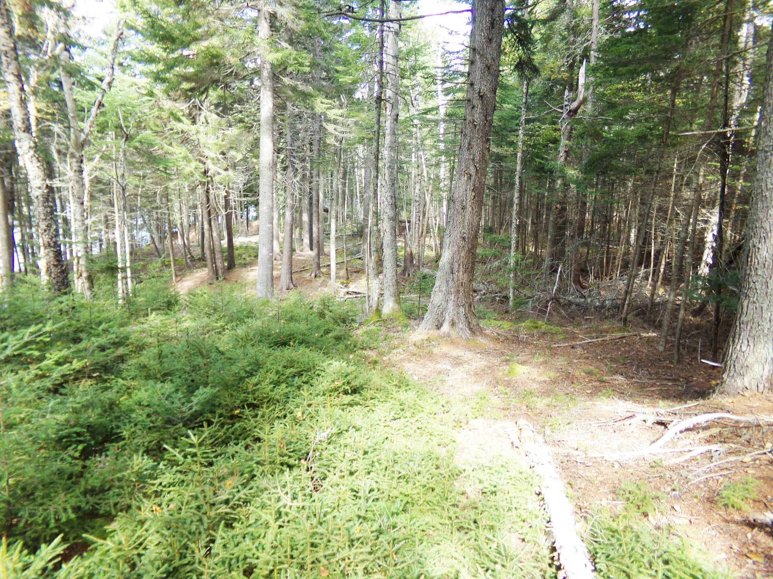 2 Johnson Point Road Orrs Island, ME 04066 - Photo 17 of 20 7jp.135_2193 (2)