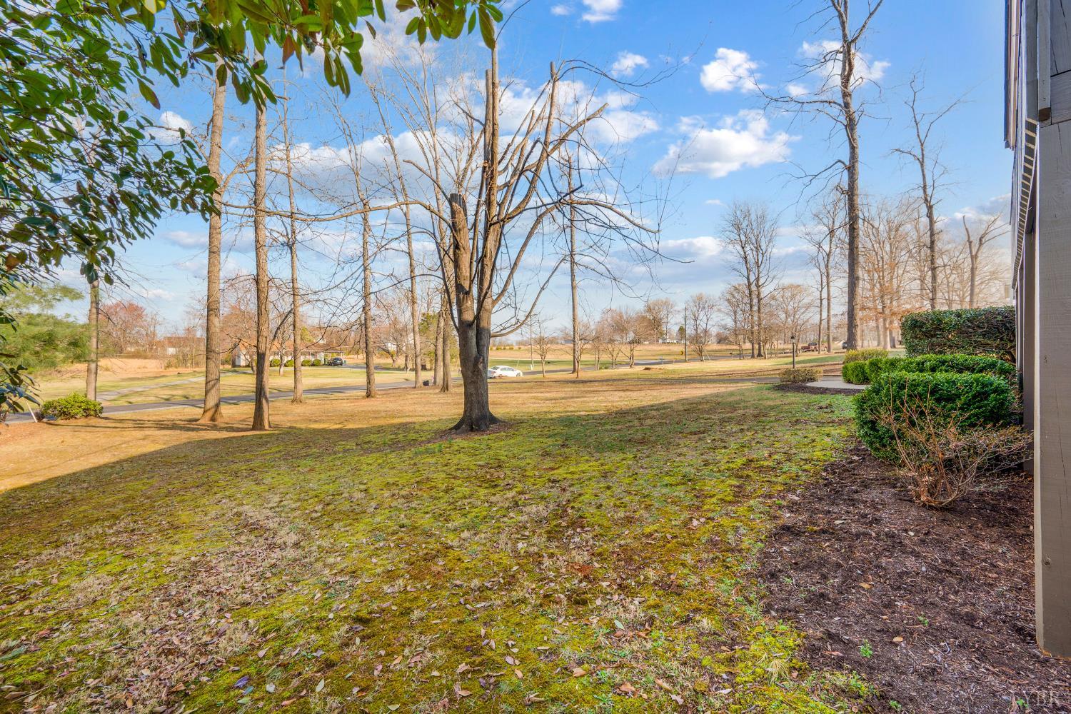 1071 Great Oak Road Forest, VA 24551 - Photo 45 of 55