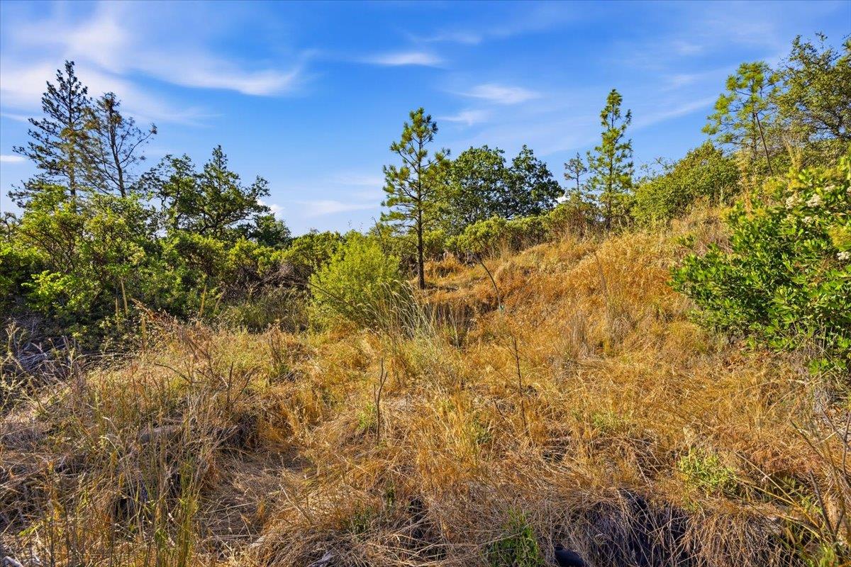17436 Black Forest Road Penn Valley, CA 95946 - Photo 33 of 36