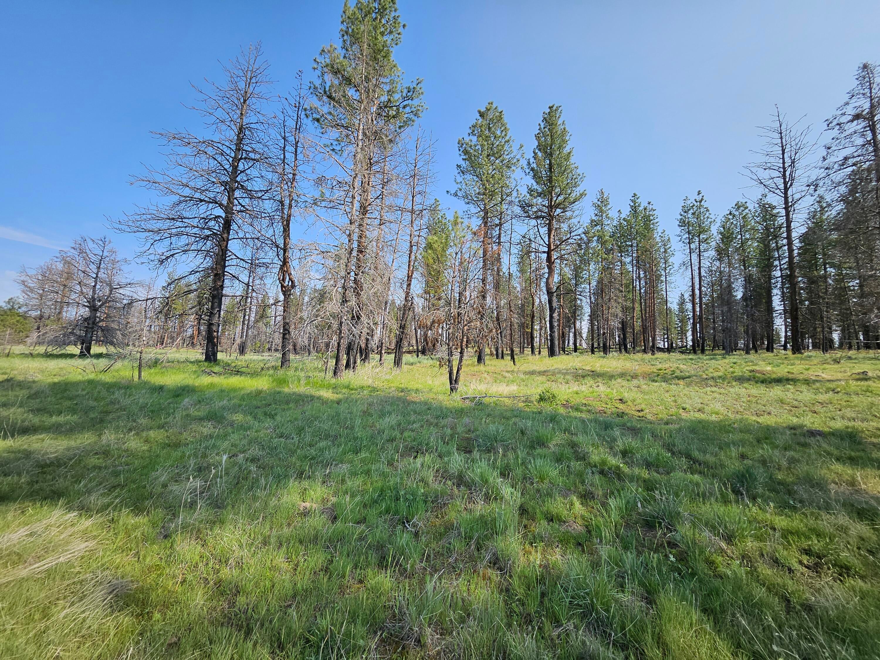 8 Parazoo Trail Bly, OR 97622 - Photo 7 of 27 20250601_165140