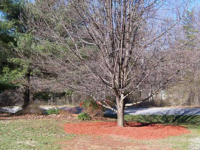 424 Reade Drive Roxboro, NC 27573 - Photo 2 of 10 Attractive front yard with nice landscaping