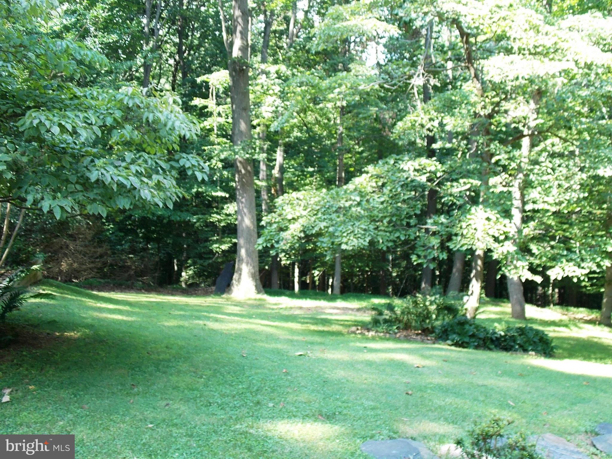 1098 High Country Road Baltimore, MD 21286 - Photo 28 of 30 Exterior (Rear)