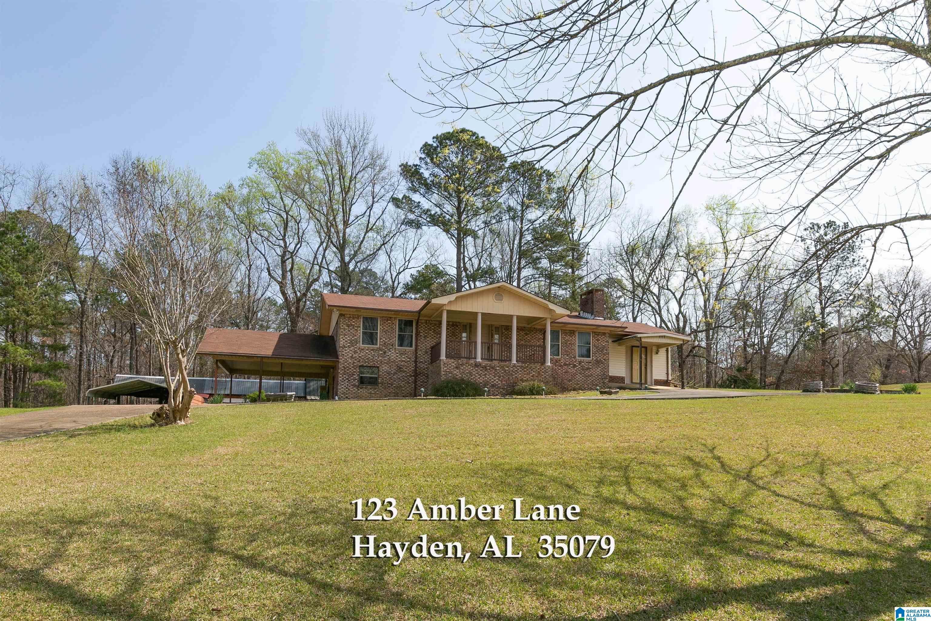 123 Amber Lane Hayden, AL 35079 - Photo 4 of 68