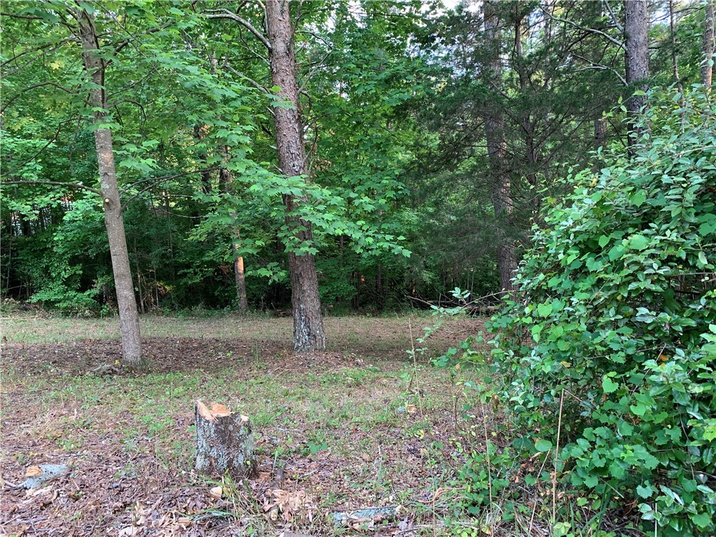 0 Cane Creek Harbor Road Seneca, SC 29672 - Photo 11 of 13 Gallery Image 11