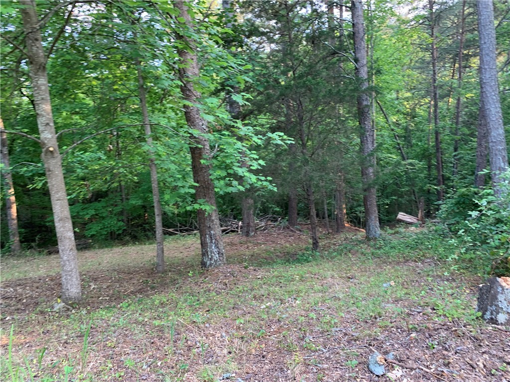 0 Cane Creek Harbor Road Seneca, SC 29672 - Photo 12 of 13 Gallery Image 12