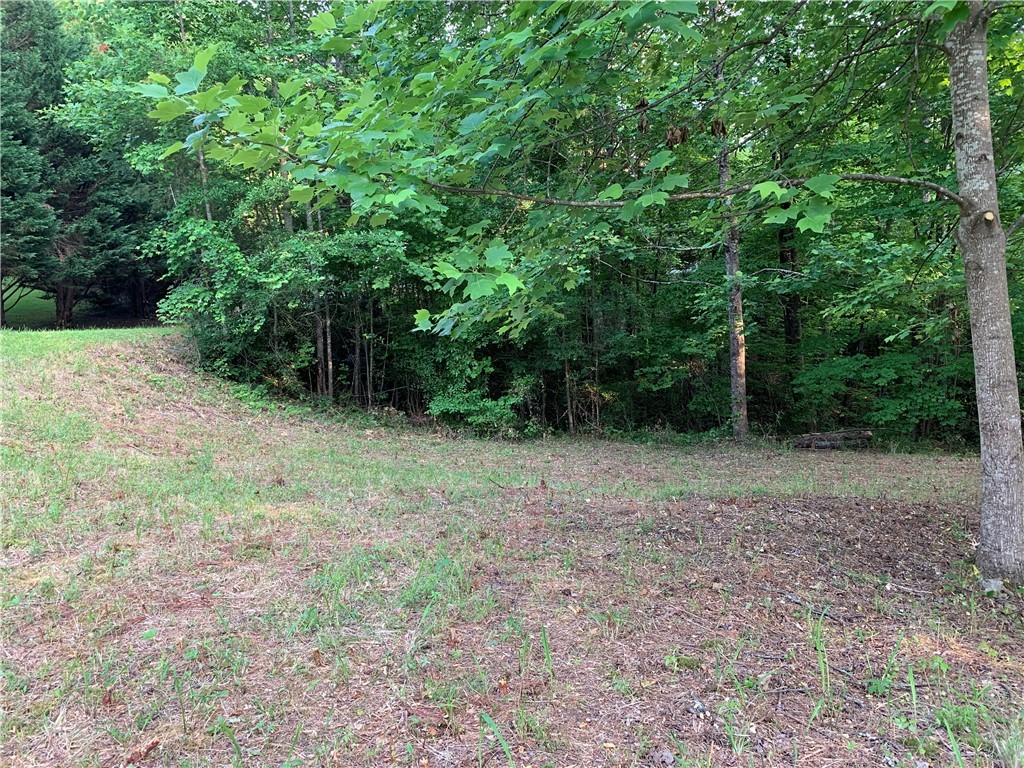 0 Cane Creek Harbor Road Seneca, SC 29672 - Photo 13 of 13 Gallery Image 13